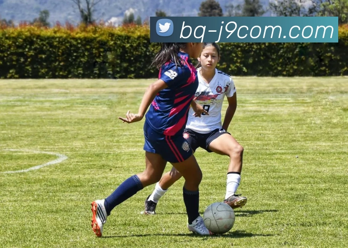 九游会官网发展历程